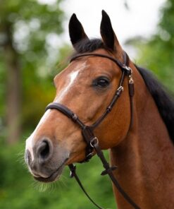 bitless-bridle-evolution-series-1