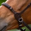 bitless-bridle-evolution-series-2