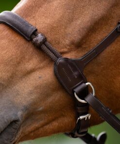 bitless-bridle-evolution-series-2