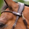 bitless-bridle-evolution-series-3