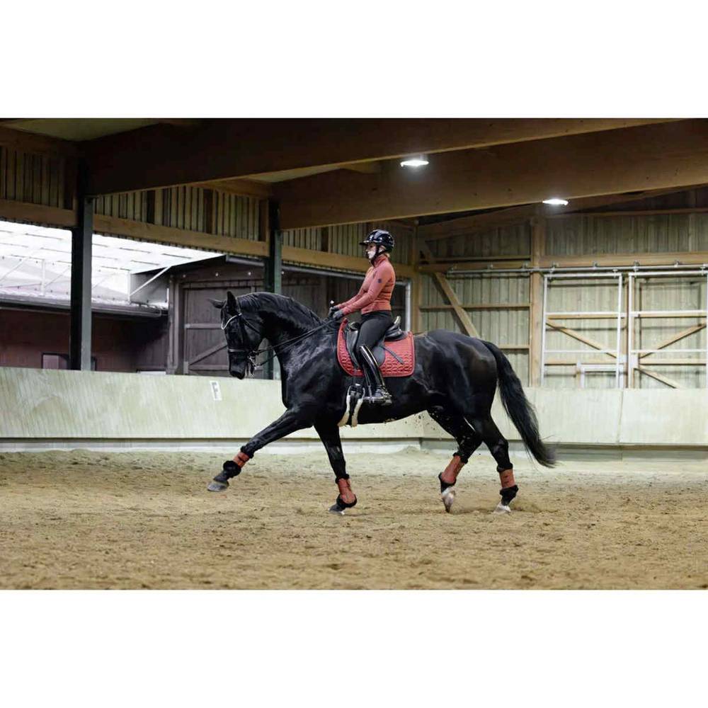 c1a967be-051c-41e3-86f6-afc834a1a17e-2