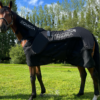 couverture-massante-equisea-hors-elite-therapy-chevaux-high