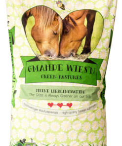 csm-Gmahde-Wiesn-ohne-69280e6cee