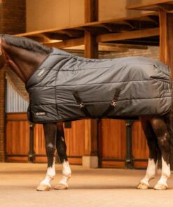 e38001-l001-DSC06592-2stable