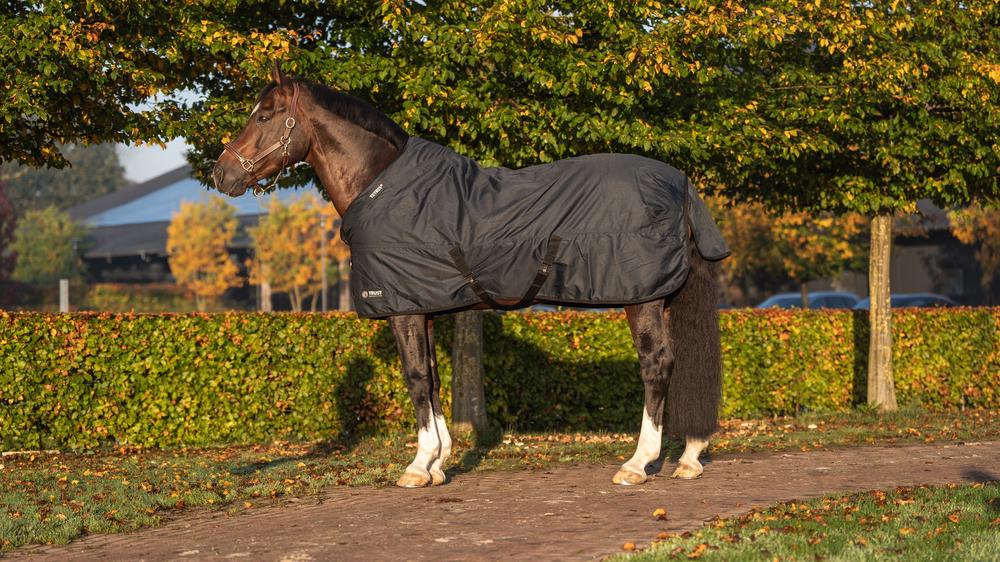 e38002-l001-DSC06554