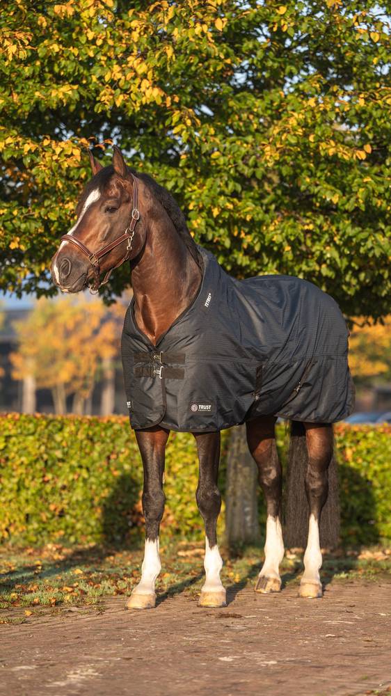 e38002-l001-DSC06571