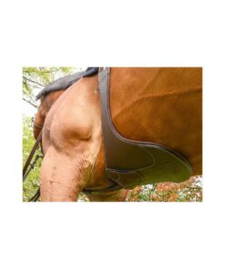 elastic-stud-girth-one-ollection-1