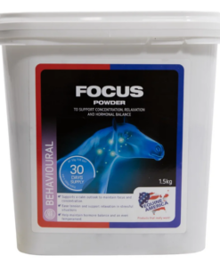 focus-40