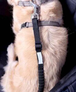 fp00025-b-15-1920x1920