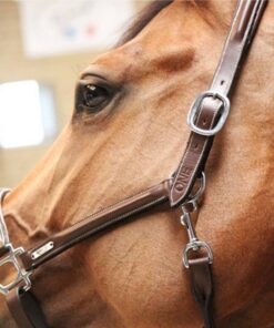 grooming-halter-one-collection-1