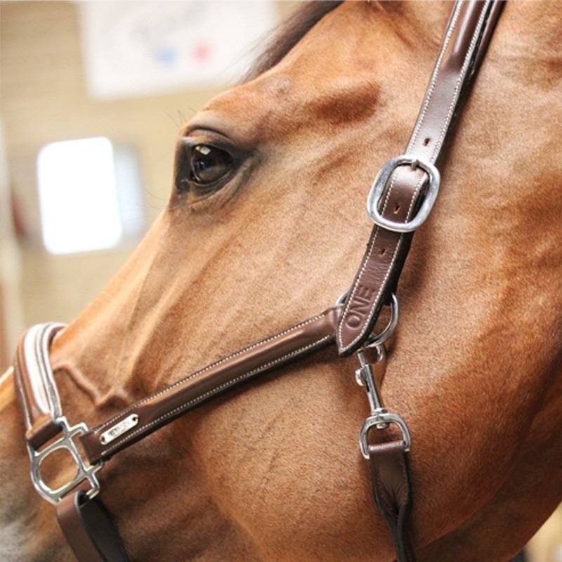 grooming-halter-one-collection-1