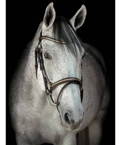 hansbo-sport-trans-clincher-aachen-brun-1