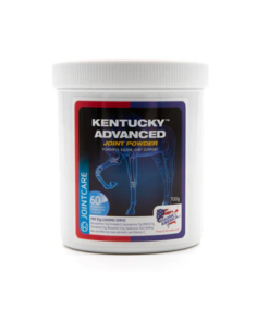 kentucky-advanced-2