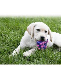 kong-dotz-dog-toy2-zoom