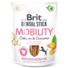 mobility-dental-stick