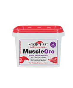 musclegro-2