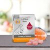 nassfutter-hund-menu-adult-turkey-salmon-1