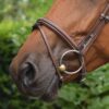 paris-noseband-collection-one