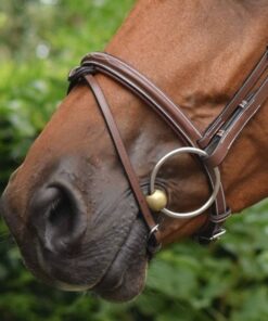 paris-noseband-collection-one