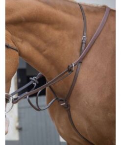 running-martingale-jumpin-2