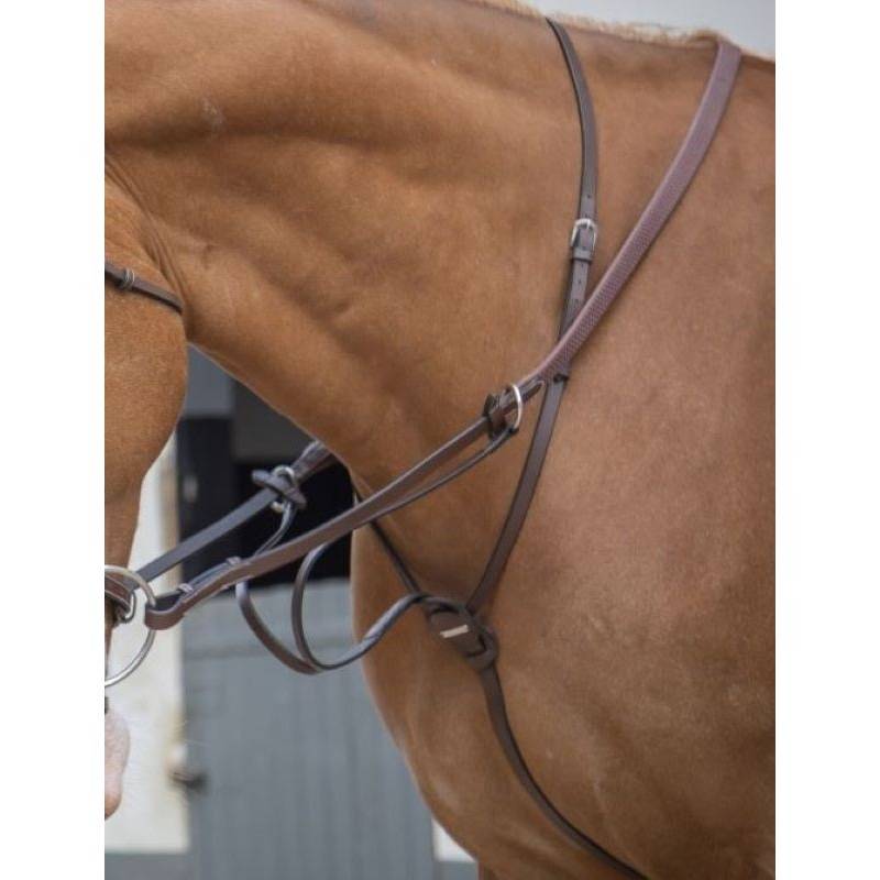 running-martingale-jumpin-2