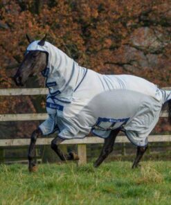 sweet-itch-x-600x454