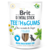 teeth-gums-dental-stick