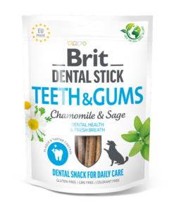 teeth-gums-dental-stick