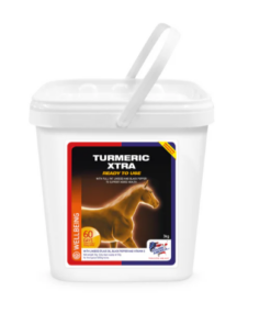 tumeric-2