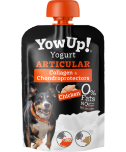yowup-articular-pollo-perro